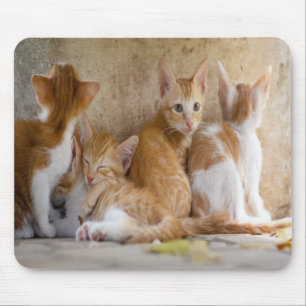 Orange and White Tabby Kitten/Add Your Pet's Photo Mouse Mat