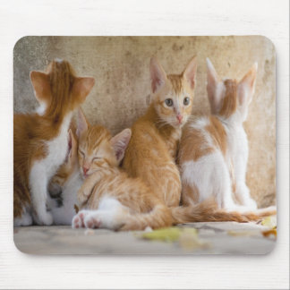 Orange and White Tabby Kitten/Add Your Pet's Photo Mouse Mat