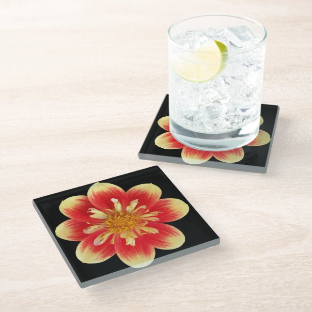 Orange and Yellow Collarette Dahlia Floral Glass Coaster (Angled)