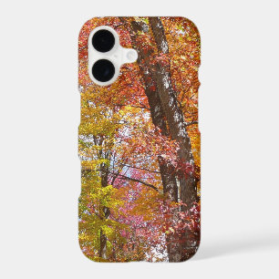 Orange and Yellow Fall Trees Autumn Photography
