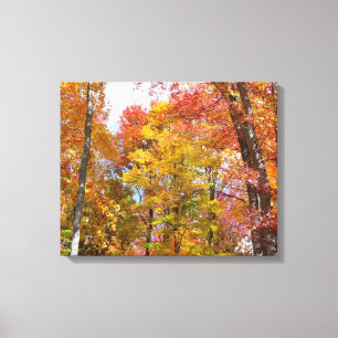 Orange and Yellow Fall Trees Autumn Photography Canvas Print