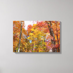 Orange and Yellow Fall Trees Autumn Photography Canvas Print