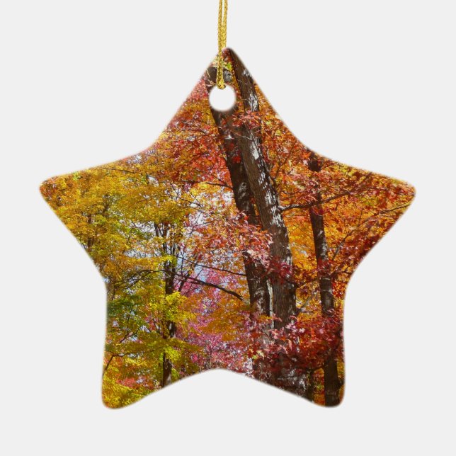 Orange and Yellow Fall Trees Autumn Photography Ceramic Tree Decoration (Front)