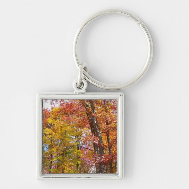 Orange and Yellow Fall Trees Autumn Photography Key Ring (Front)