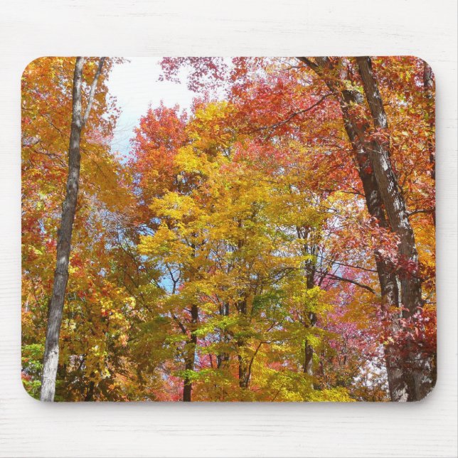 Orange and Yellow Fall Trees Autumn Photography Mouse Mat (Front)