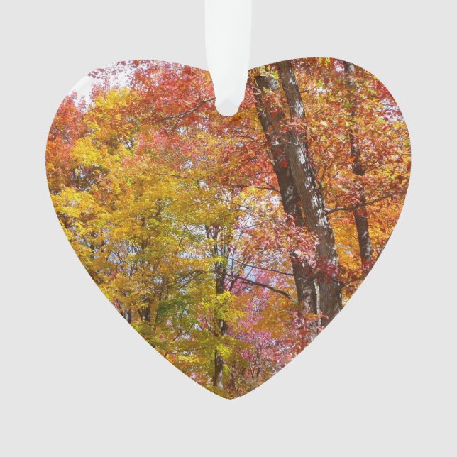 Orange and Yellow Fall Trees Autumn Photography Ornament (Front)