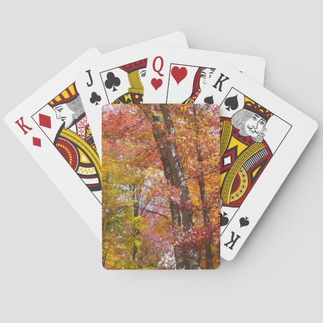 Orange and Yellow Fall Trees Autumn Photography Playing Cards (Back)