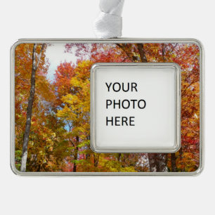 Orange and Yellow Fall Trees Autumn Photography Silver Plated Framed Ornament