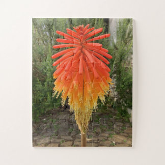 Orange and Yellow Flower Jigsaw Puzzle