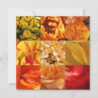 Orange and yellow Flowers