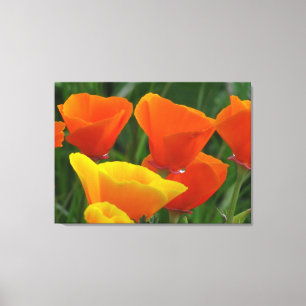 Orange And Yellow Flowers Canvas Print