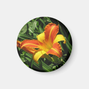 Orange and Yellow Lily Magnet