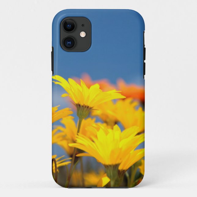 Orange And Yellow Namaqualand Daisies Case-Mate iPhone Case (Back)