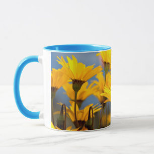 Orange And Yellow Namaqualand Daisies Mug