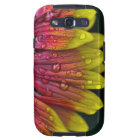 Orange and Yellow rain drops