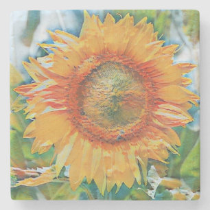 Orange and yellow sunflowe Stone Coaster