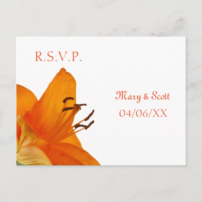 Orange Asiatic Lily RSVP postcard (Front)