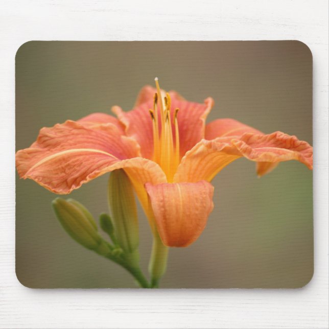 Orange asiatische Lilie Mouse Mat (Front)