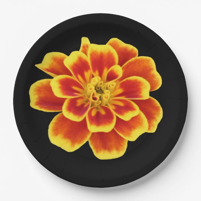 Orange Autumn Flower Rustic Fall Wedding Floral Paper Plate (Front)