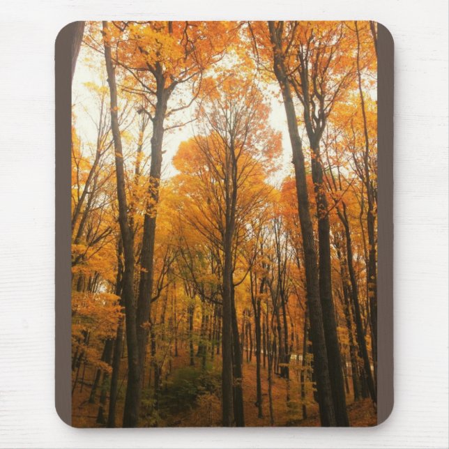 Orange Autumn Forest Mouse Mat (Front)