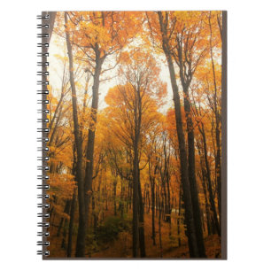 Orange Autumn Forest Notebook