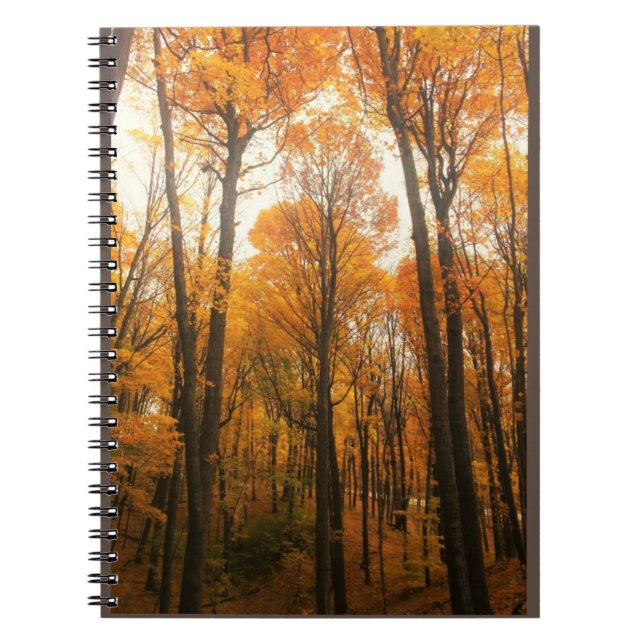 Orange Autumn Forest Notebook (Front)