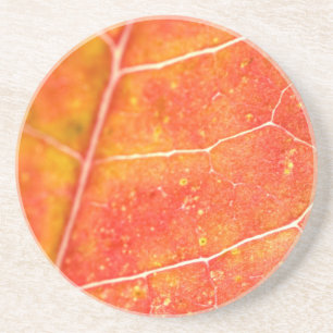 Orange Autumn Maple Leaf Sandstone Coaster