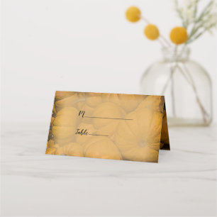 Orange Autumn Pumpkins Wedding Place Card