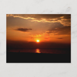 Orange Awakening Postcard