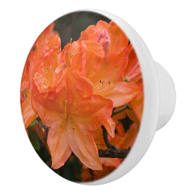 Orange Azalea Rhododendron Flowers Ceramic Knob (Right)
