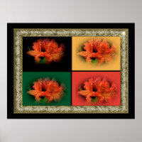 Orange Azaleas