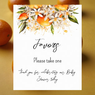 Orange Baby Shower Citrus Favours Poster
