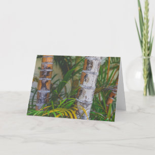 Orange Bamboo Card