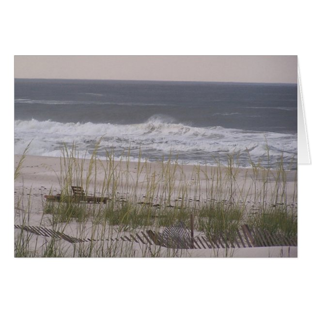 Orange Beach 63 (Front Horizontal)