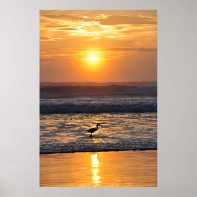 Orange Beach Sunrise Bird Fishing Florida Poster (Front)