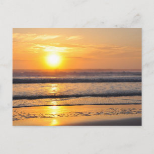 Orange Beach Sunrise Wilbur By The Sea FL Postcard