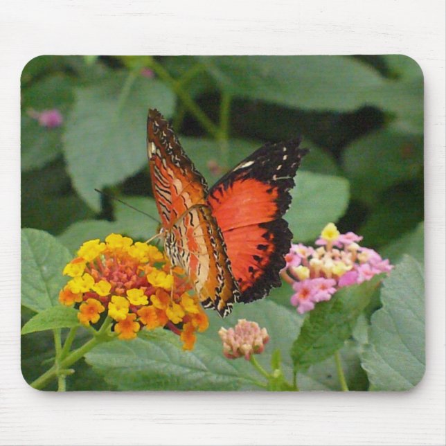 Orange Beauty Mouse Mat (Front)