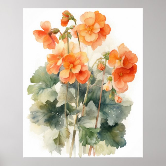 Orange Begonia Flowers Art Print Poster (Front)