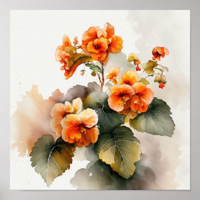 Orange Begonias Flower Art Print Poster (Front)