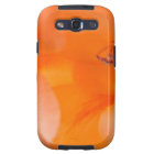 Orange Bell Flowers close-up photography digital