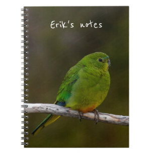 Orange-bellied Parrot Bird Australia Notebook