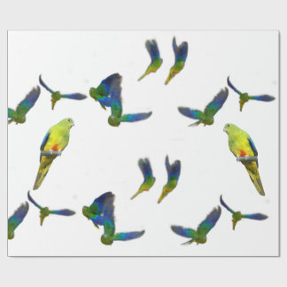 Orange Bellied Parrot Wrapping Paper
