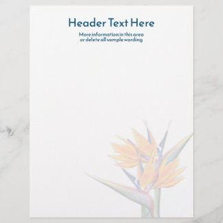 Orange Bird of Paradise Blank Writing Paper Custom Letterhead