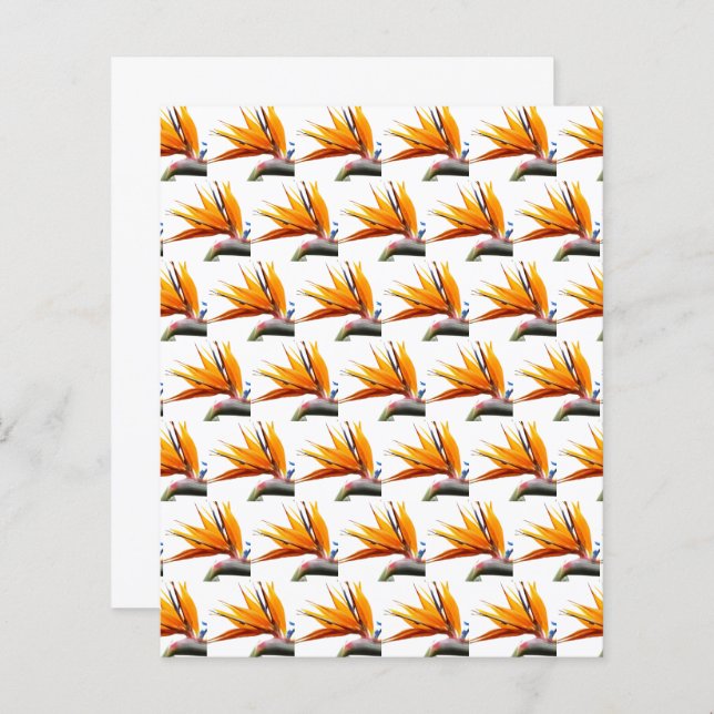Orange Bird of Paradise Pattern Scrapbook Paper (Front/Back)