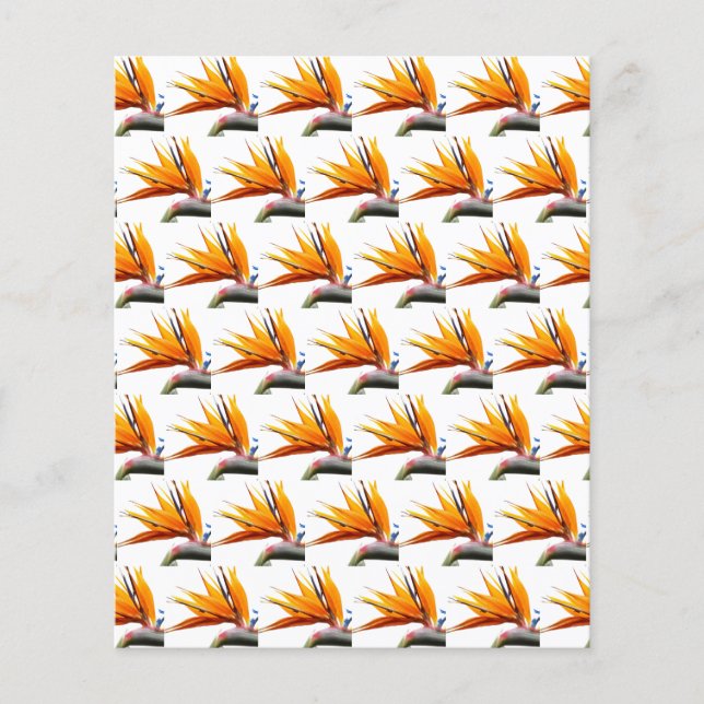 Orange Bird of Paradise Pattern Scrapbook Paper (Front)