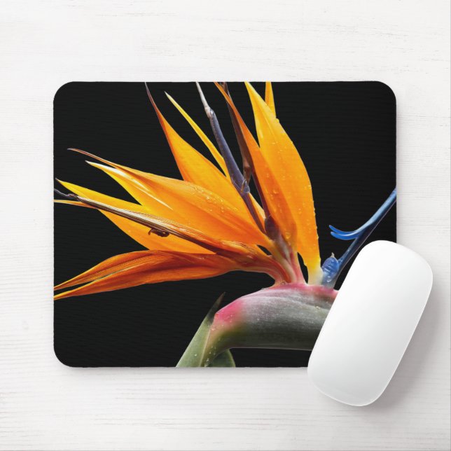 Orange Bird of Paradise Plant Bloom Floral Mouse Mat (With Mouse)