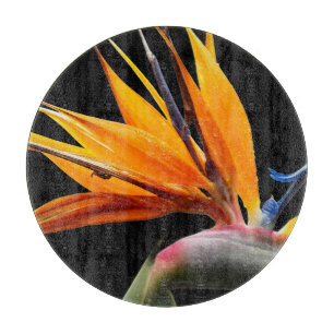 Orange Bird of Paradise Plant on Black Cutting Board
