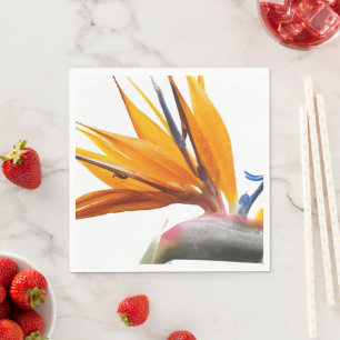 Orange Bird of Paradise Plant on White Floral Napkin