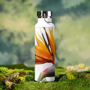 Orange Bird of Paradise Plant on White Water Bottle