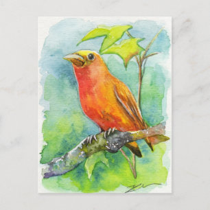 Orange Bird Postcard